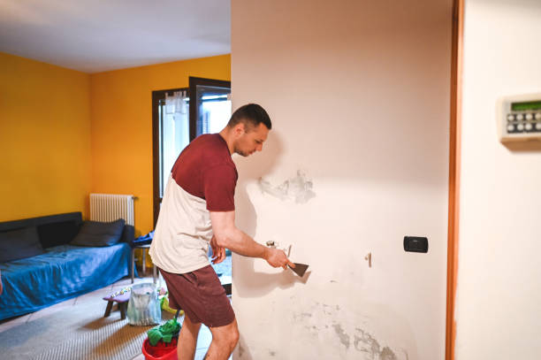Reliable Bethel Park, PA Mold Removal Solutions